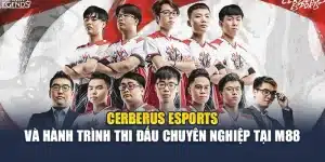 Cerberus Esports Và Hành Trình Thi Đấu Chuyên Nghiệp Tại M88